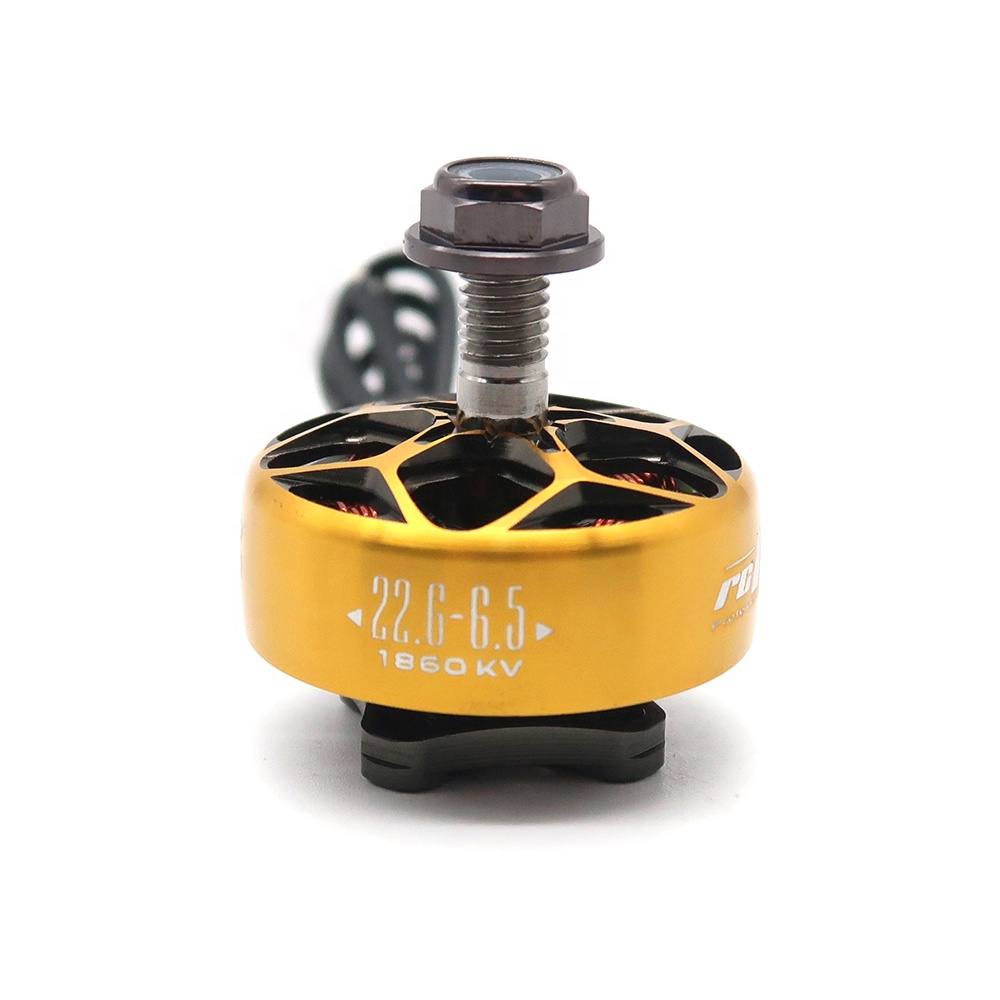 RCINPOWER WASP MAJOR 1860KV 20 - Drone Battery 6S recensie en prijs